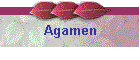 Agamen